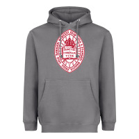 Storm bard college Heavyweight Hoodie - linhVisuals