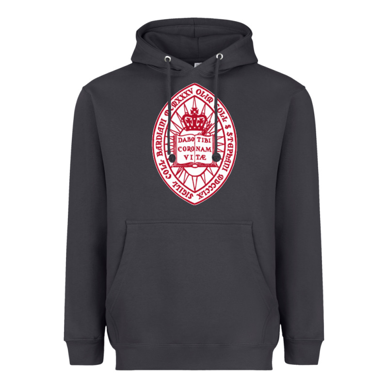 Bard College Heavyweight Hoodie by linhVisuals | Teevron