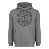 Storm dickinson college Heavyweight Hoodie - linhVisuals