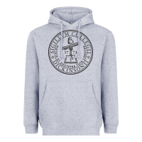Heather Grey dickinson college Heavyweight Hoodie - linhVisuals