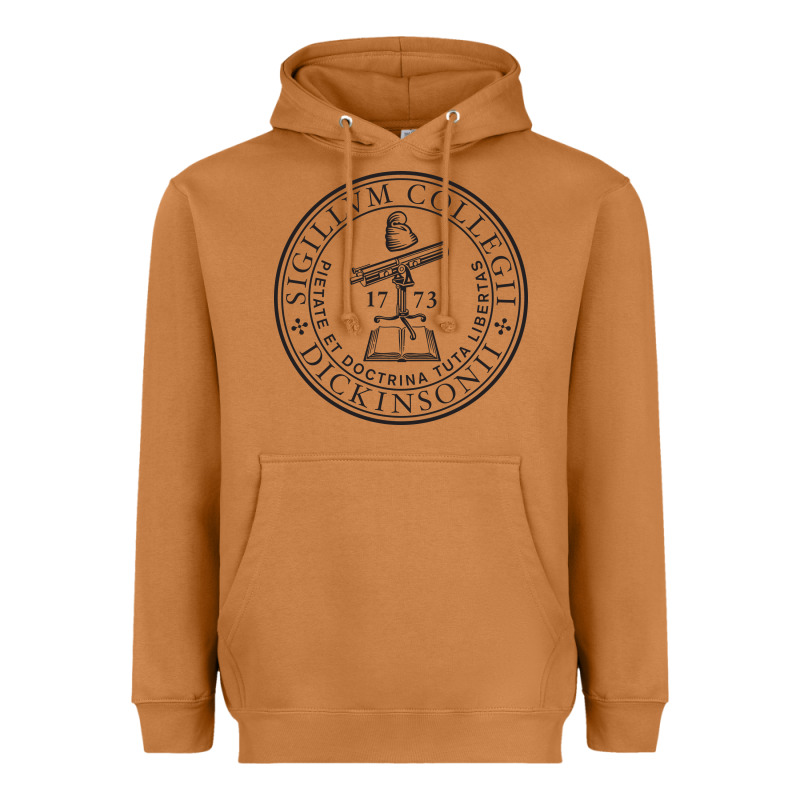 Dickinson College Heavyweight Hoodie by linhVisuals | Teevron