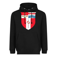 Black Rensselaer Polytechnic Institute Heavyweight Hoodie - linhVisuals