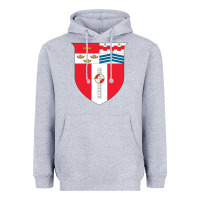 Heather Grey Rensselaer Polytechnic Institute Heavyweight Hoodie - linhVisuals