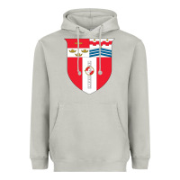 Moon Dust Rensselaer Polytechnic Institute Heavyweight Hoodie - linhVisuals