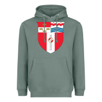 Sage Rensselaer Polytechnic Institute Heavyweight Hoodie - linhVisuals