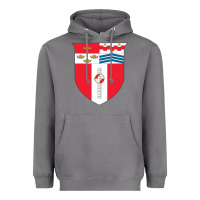 Storm Rensselaer Polytechnic Institute Heavyweight Hoodie - linhVisuals