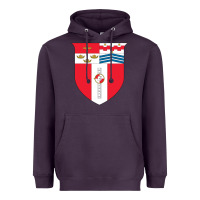 Plum Rensselaer Polytechnic Institute Heavyweight Hoodie - linhVisuals