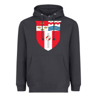 Smoke Rensselaer Polytechnic Institute Heavyweight Hoodie - linhVisuals
