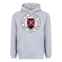 Heather Grey Rhodes College Heavyweight Hoodie - linhVisuals