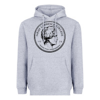 Heather Grey Sarah Lawrence College Heavyweight Hoodie - linhVisuals