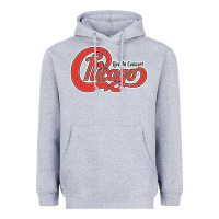Heather Grey Chicago Live In Concert Heavyweight Hoodie - linhVisuals