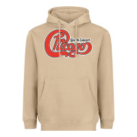 Mushroom Chicago Live In Concert Heavyweight Hoodie - linhVisuals