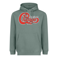 Sage Chicago Live In Concert Heavyweight Hoodie - linhVisuals