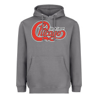 Storm Chicago Live In Concert Heavyweight Hoodie - linhVisuals