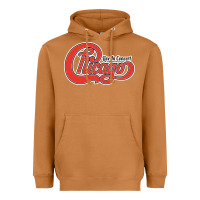 Meerkat Chicago Live In Concert Heavyweight Hoodie - linhVisuals