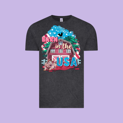 Barn In The Usa Vintage Tee Designed By Fadigitalartstudio