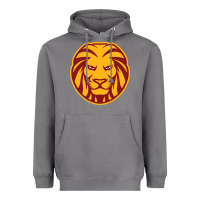 Storm monte vista high school Heavyweight Hoodie - linhVisuals