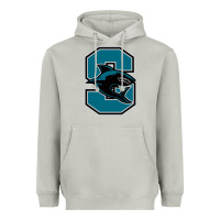 Moon Dust santiago high school Heavyweight Hoodie - linhVisuals