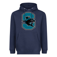 Santiago High School Heavyweight Hoodie | Teevron