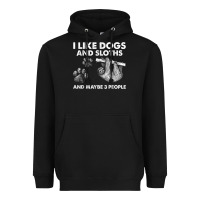 I Like Dogs And Sloths And Maybe 3 People Funny Animals Heavyweight Hoodie | Teevron