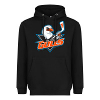 Black the-san-diego-gulls-pen Heavyweight Hoodie - linhVisuals