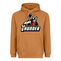 Meerkat the-adirondack-thunder-pen Heavyweight Hoodie - linhVisuals