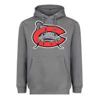 Storm carolina mudcats Heavyweight Hoodie - linhVisuals