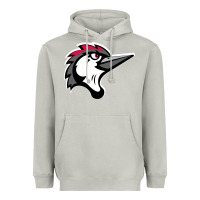 Moon Dust fayetteville woodpeckers Heavyweight Hoodie - linhVisuals