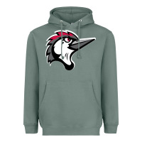 Sage fayetteville woodpeckers Heavyweight Hoodie - linhVisuals