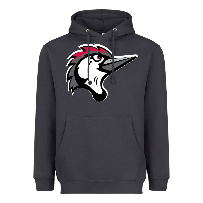 Fayetteville Woodpeckers Heavyweight Hoodie by linhVisuals | Teevron
