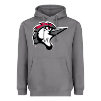 Storm fayetteville woodpeckers Heavyweight Hoodie - linhVisuals