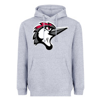 Heather Grey fayetteville woodpeckers Heavyweight Hoodie - linhVisuals