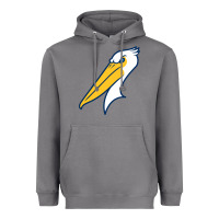 Storm myrtle beach pelicans Heavyweight Hoodie - linhVisuals
