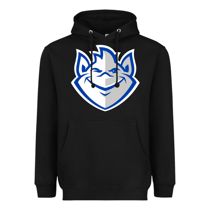 The Billikens Heavyweight Hoodie by linhVisuals | Teevron