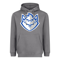 Storm the billikens Heavyweight Hoodie - linhVisuals