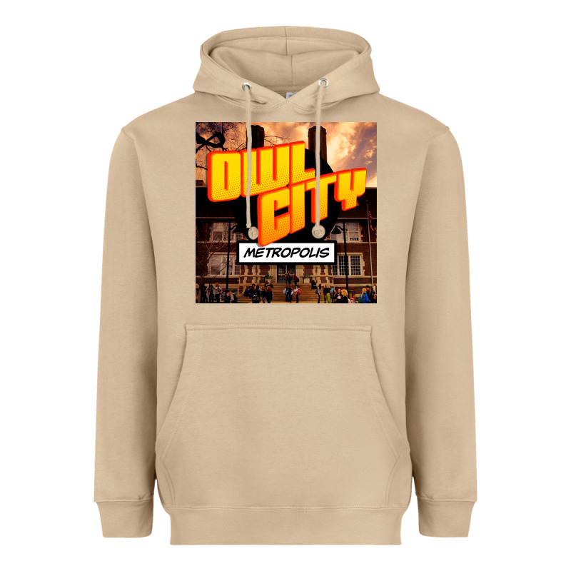 Owl City Adam Young Heavyweight Hoodie by linhVisuals | Teevron