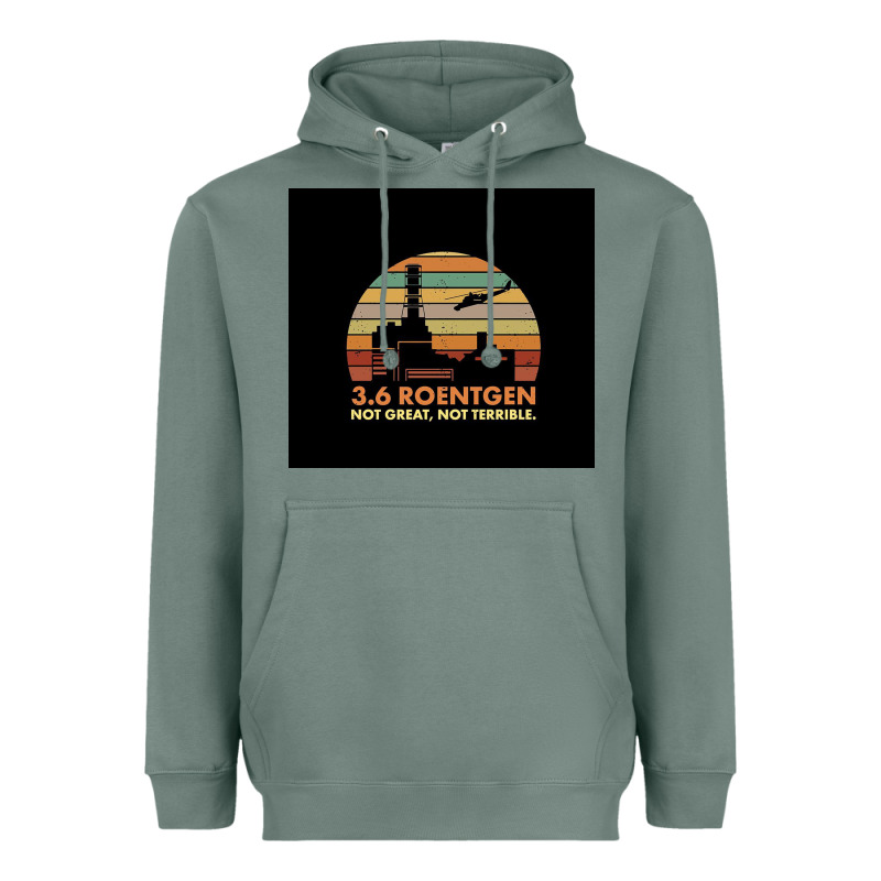 3.6 Roentgen Not Terrible Heavyweight Hoodie by linhVisuals | Teevron