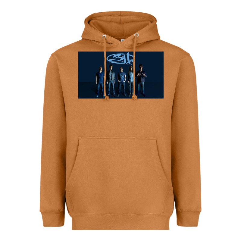 311 Megow Heavyweight Hoodie by linhVisuals | Teevron