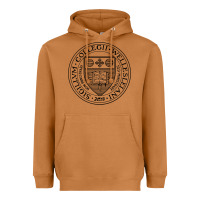 Meerkat Wellesley College Heavyweight Hoodie - linhVisuals