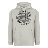 Moon Dust Wellesley College Heavyweight Hoodie - linhVisuals