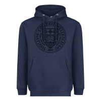Navy Wellesley College Heavyweight Hoodie - linhVisuals
