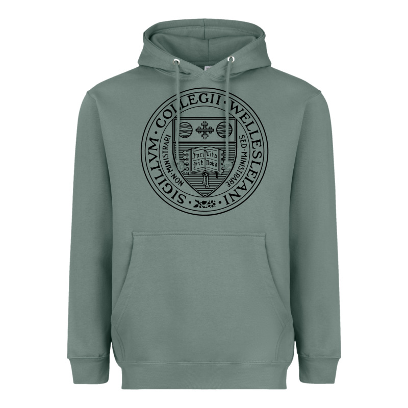 Wellesley College Heavyweight Hoodie by linhVisuals | Teevron