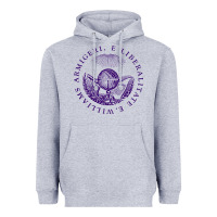 Heather Grey Williams College Heavyweight Hoodie - linhVisuals
