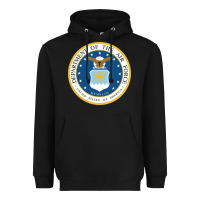 Black department of the air force Heavyweight Hoodie - linhVisuals