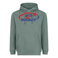 Sage usa hockey Heavyweight Hoodie - linhVisuals