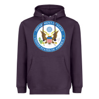 Us Department Of State 2 Heavyweight Hoodie | Teevron