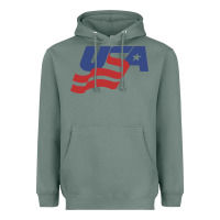 Sage usa hockey simple Heavyweight Hoodie - linhVisuals