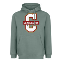 Sage the charleston cougars Heavyweight Hoodie - linhVisuals