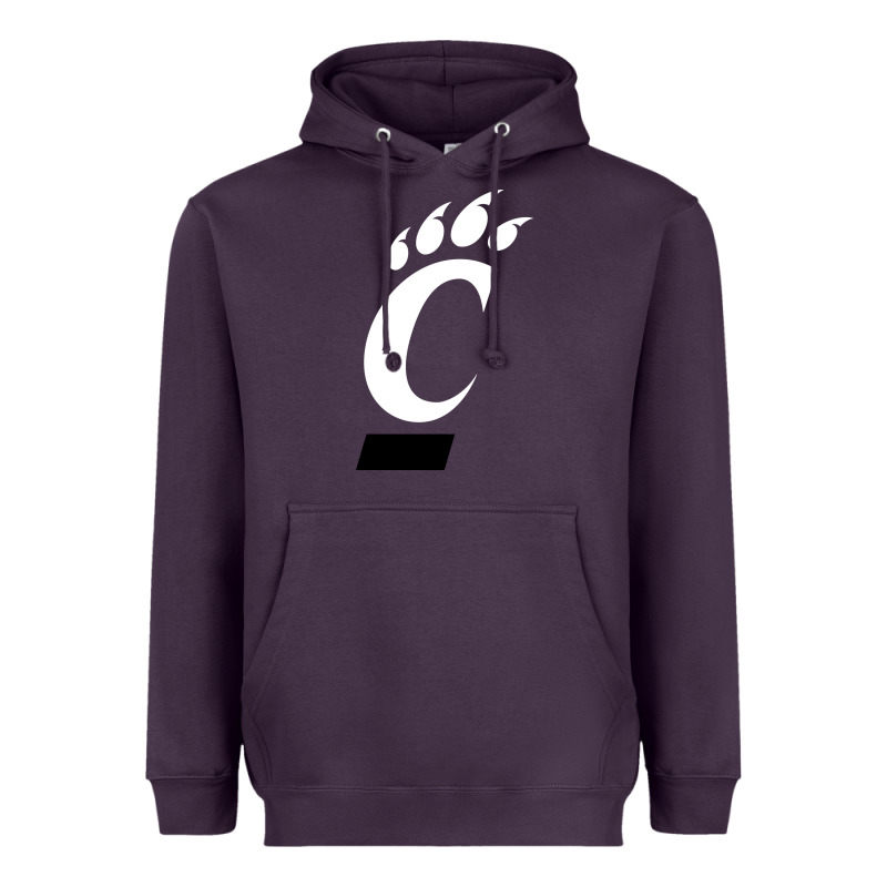 The Cincinnati Bearcats Heavyweight Hoodie by linhVisuals | Teevron