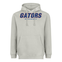 Moon Dust GATORS BASEBALL Heavyweight Hoodie - linhVisuals